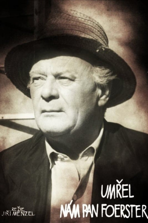Umrel nám pan Foerster (1963) poster