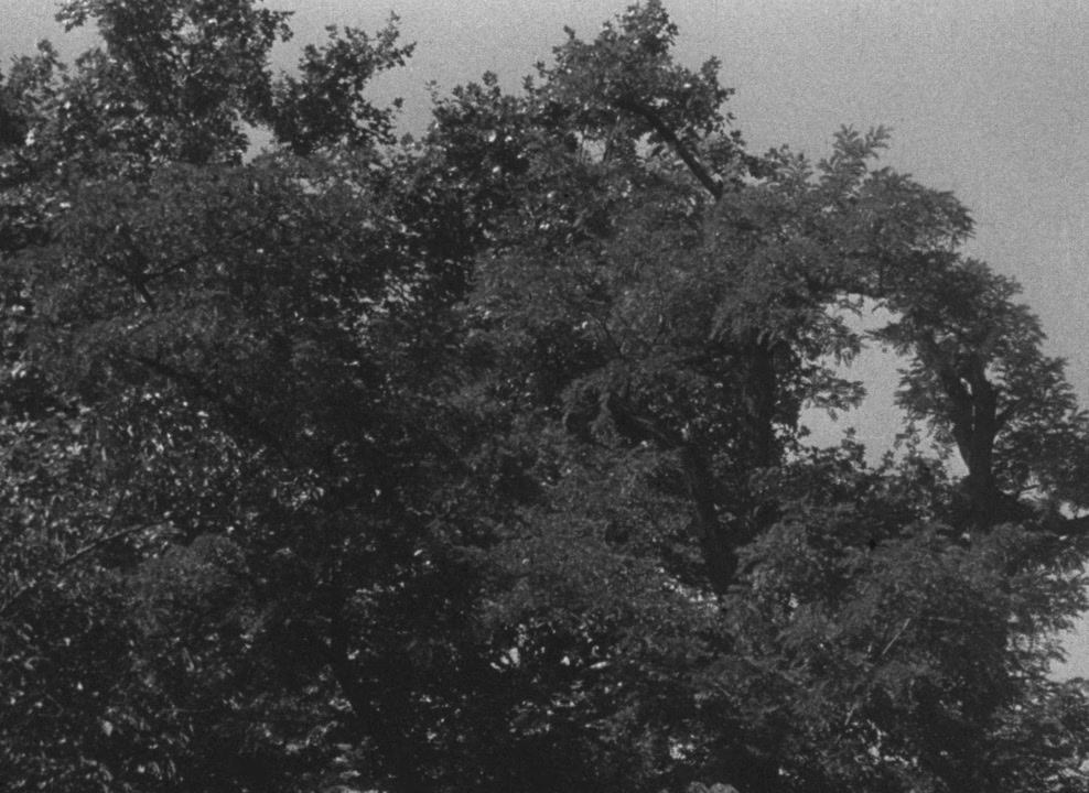 Umrel nám pan Foerster screenshot 2