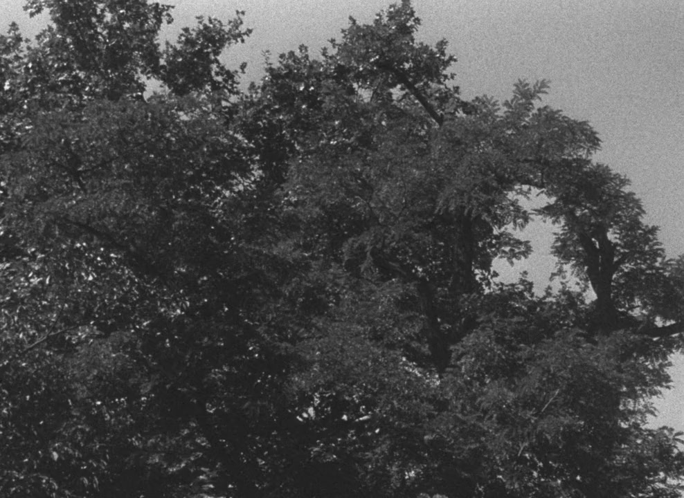 Umrel nám pan Foerster screenshot 3