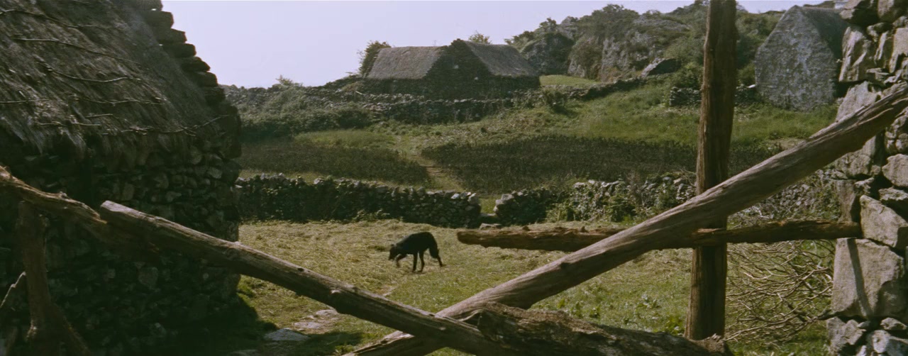 Untamed screenshot 1