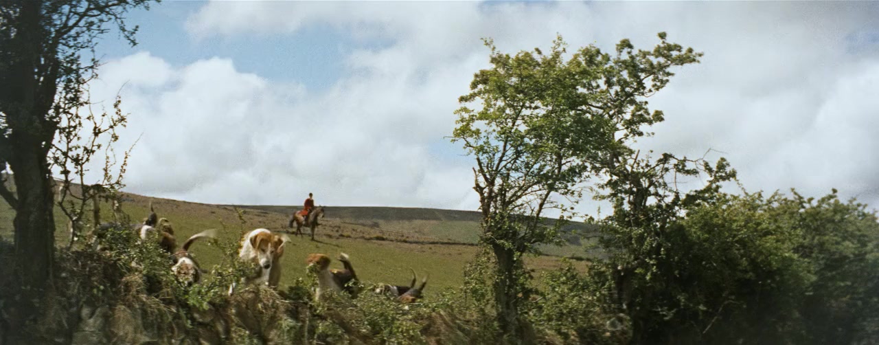 Untamed screenshot 2