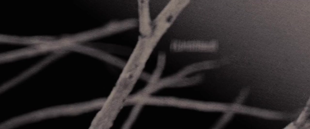 Untitled screenshot 1