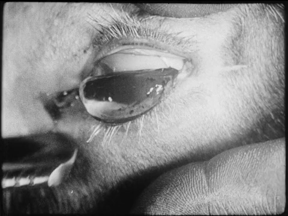 Un chien andalou screenshot 3