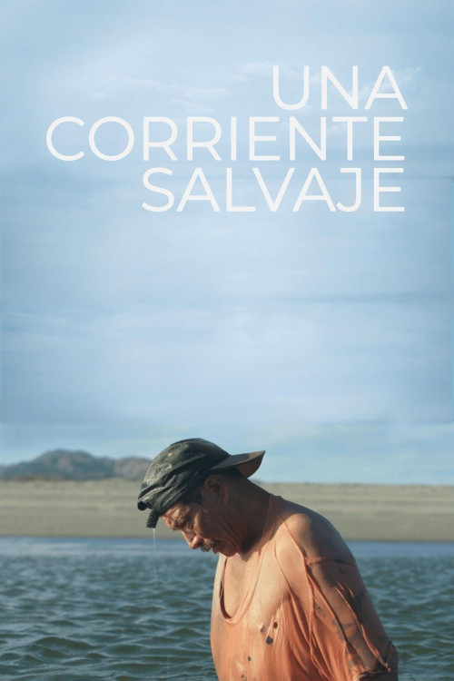 Una Corriente Salvaje (2018) poster
