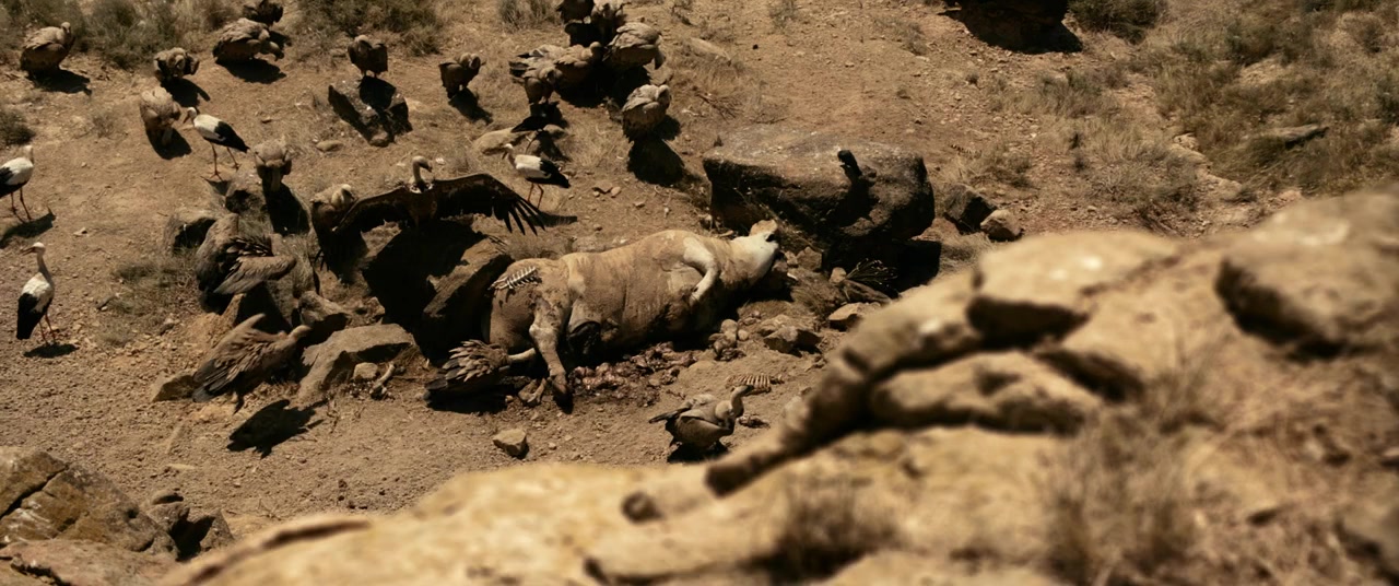 Incerta glòria screenshot 1