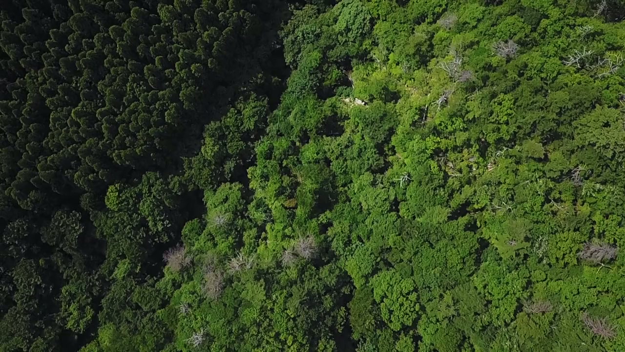 Uncovering Fukushima screenshot 1