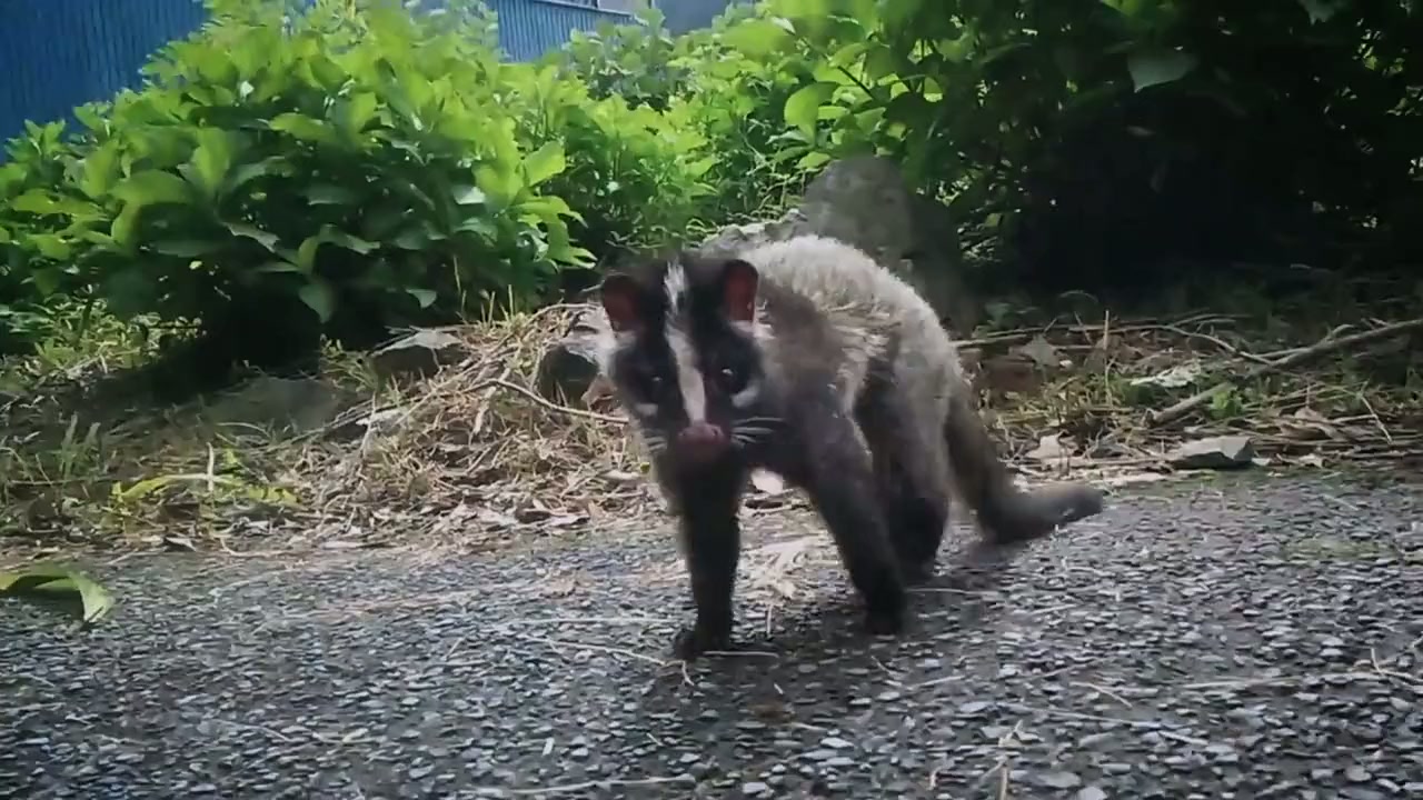 Uncovering Fukushima screenshot 2