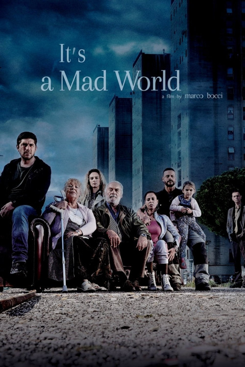 A Tor Bella Monaca non piove mai (2019) poster