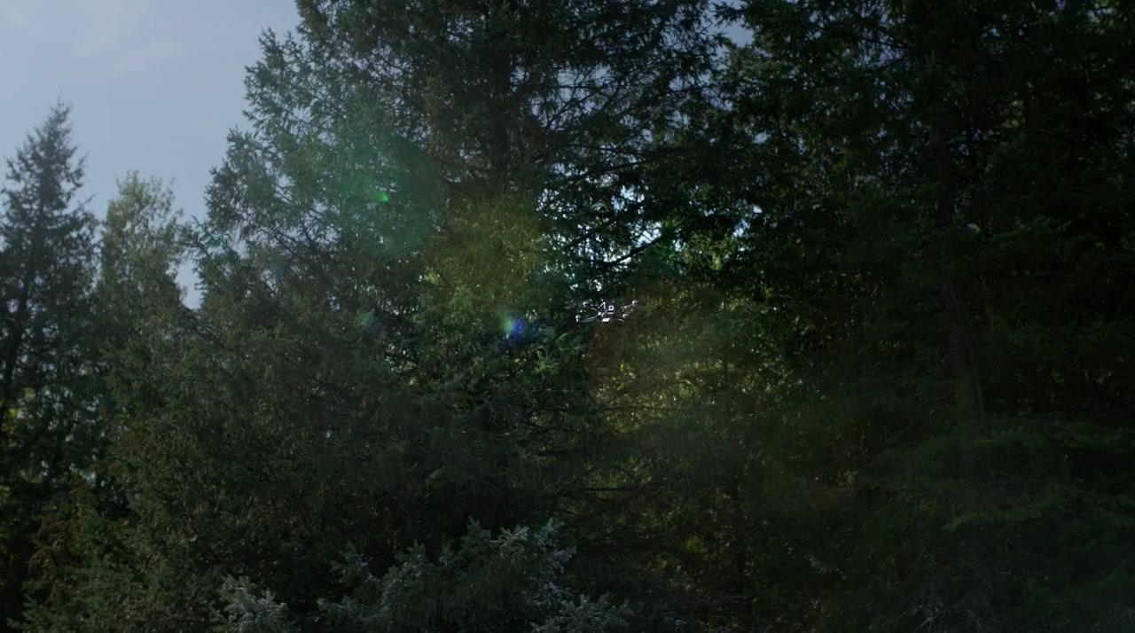 Under the Christmas Tree screenshot 2