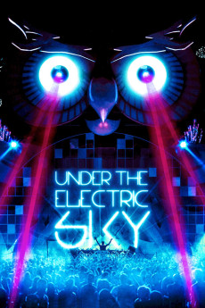 EDC 2013: Under the Electric Sky (2014) poster