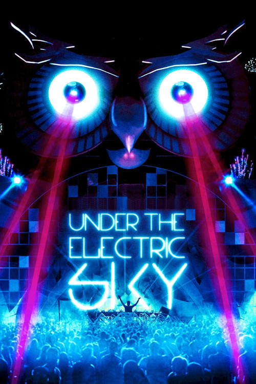EDC 2013: Under the Electric Sky (2014) poster