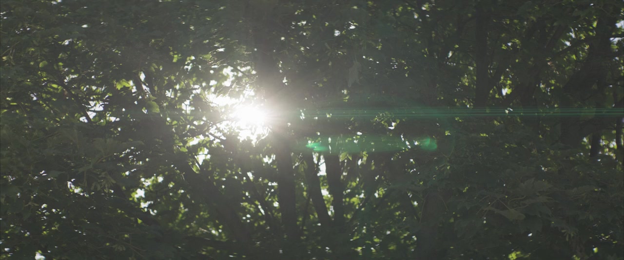 Undir trénu screenshot 1