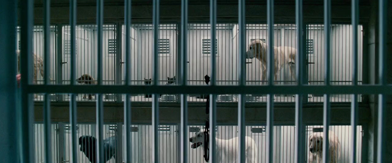 Underdog screenshot 2