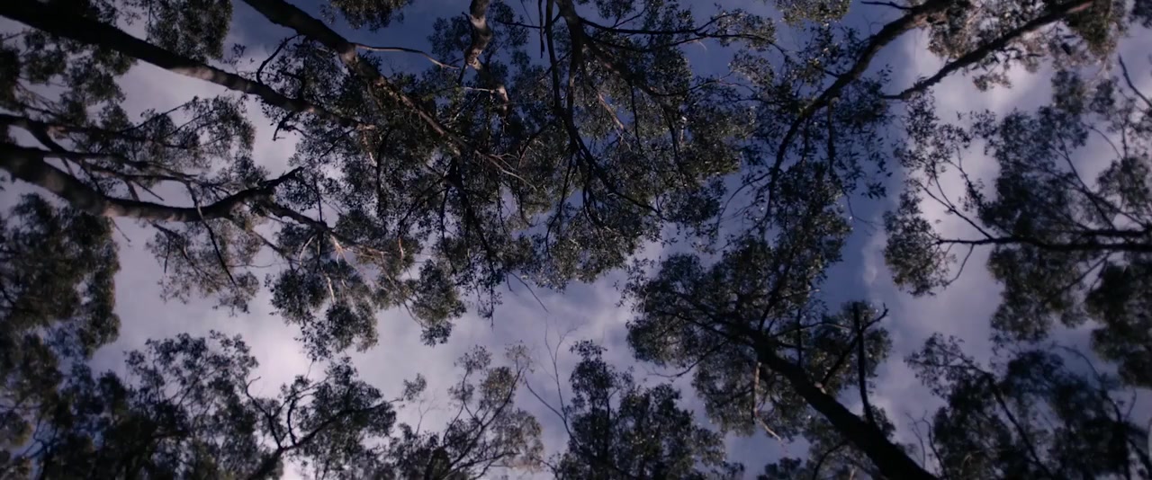 Undone screenshot 1