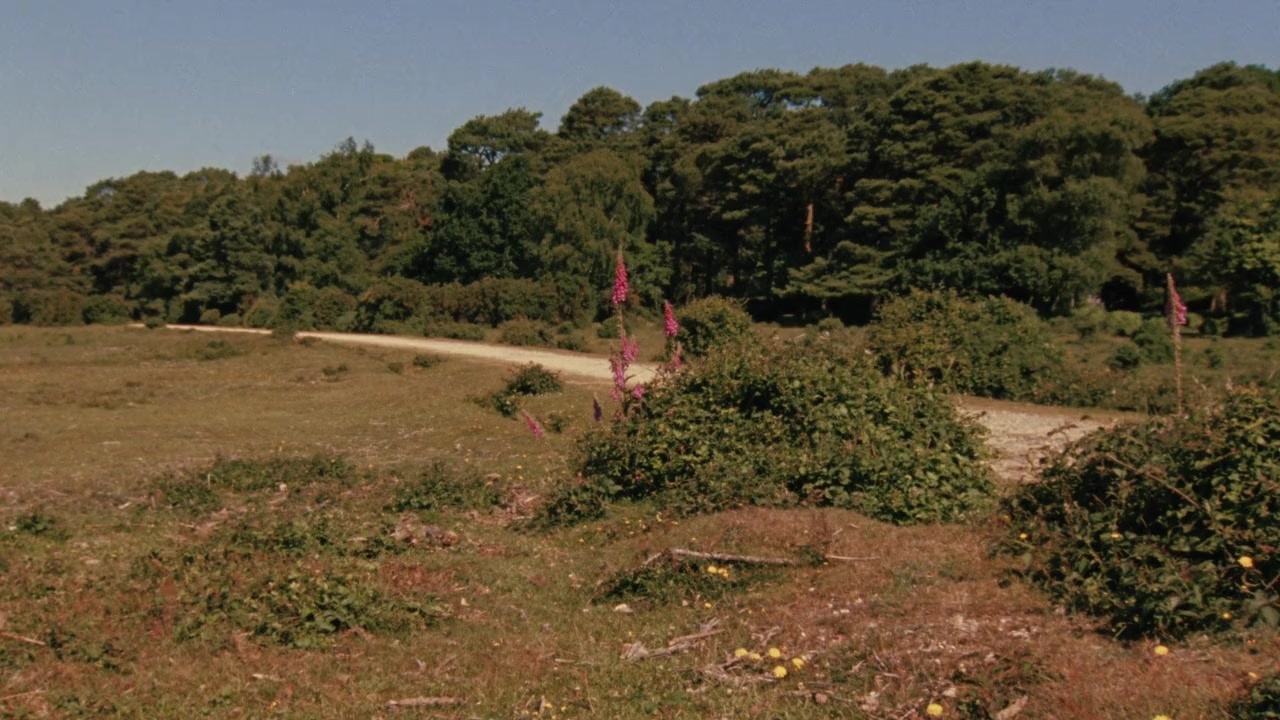 Ungentle screenshot 3