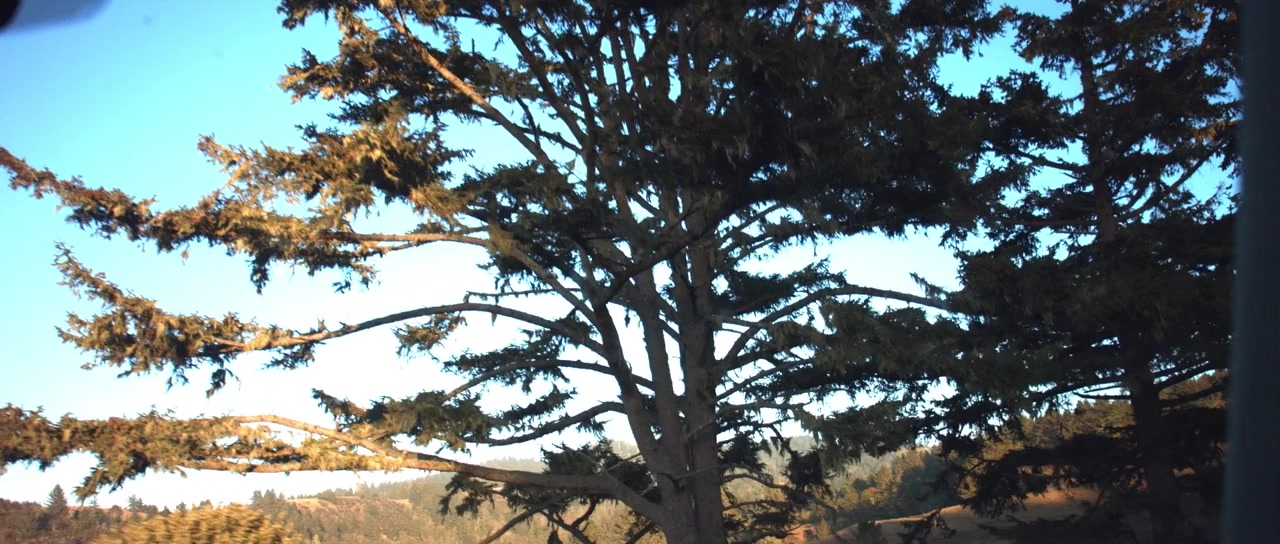 Unhuman Nature screenshot 1