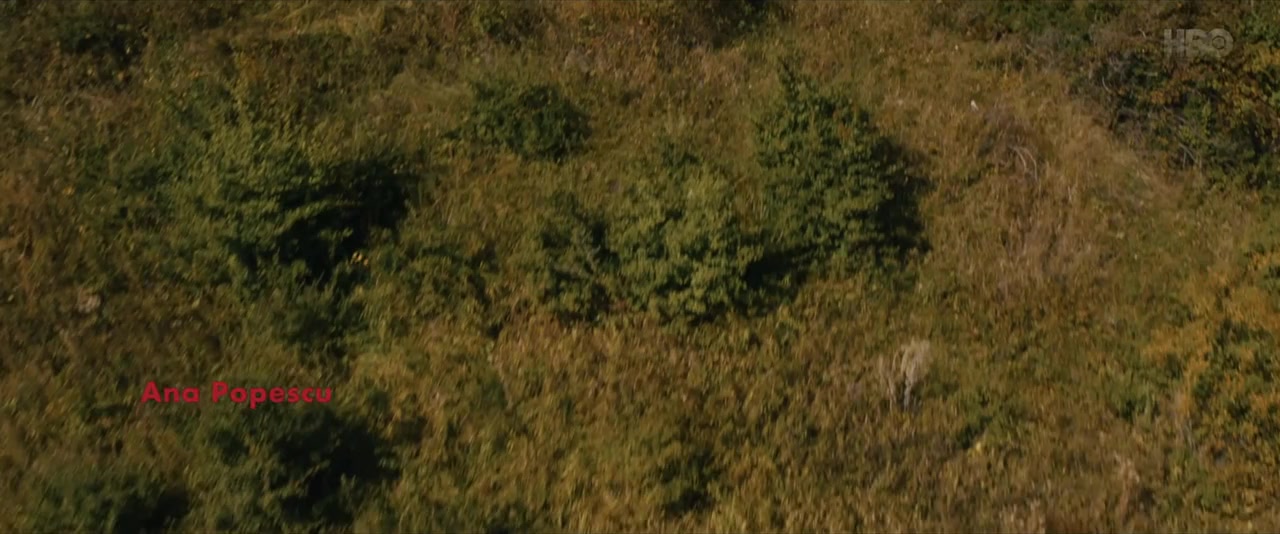 Neidentificat screenshot 1