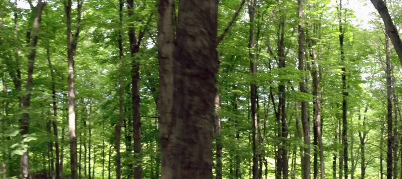 Unintended screenshot 3