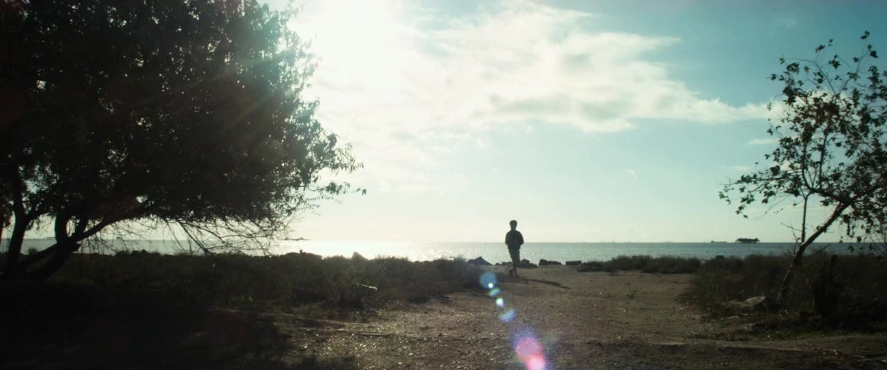United Passions screenshot 3