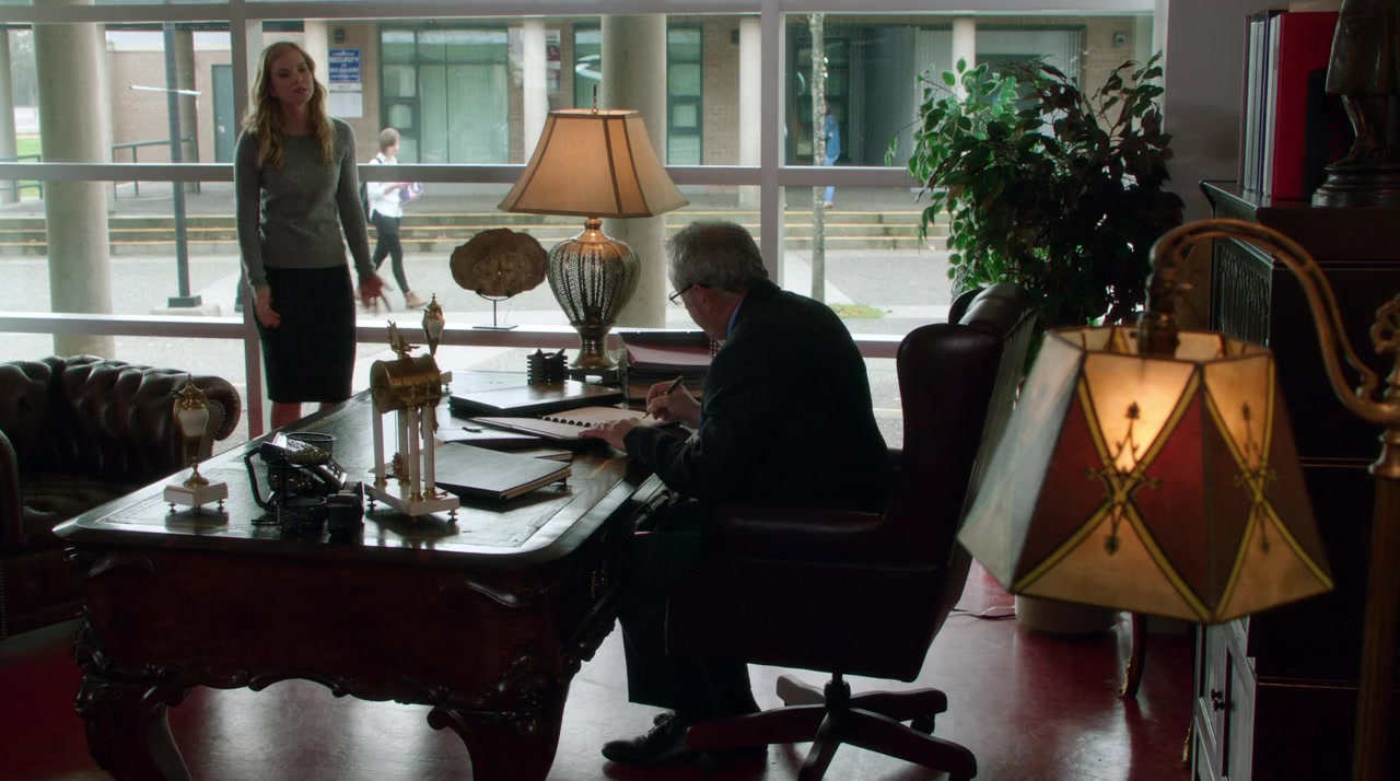 Unleashing Mr. Darcy screenshot 1