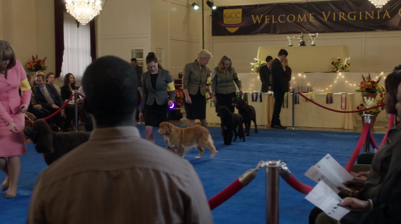 Unleashing Mr. Darcy screenshot 2