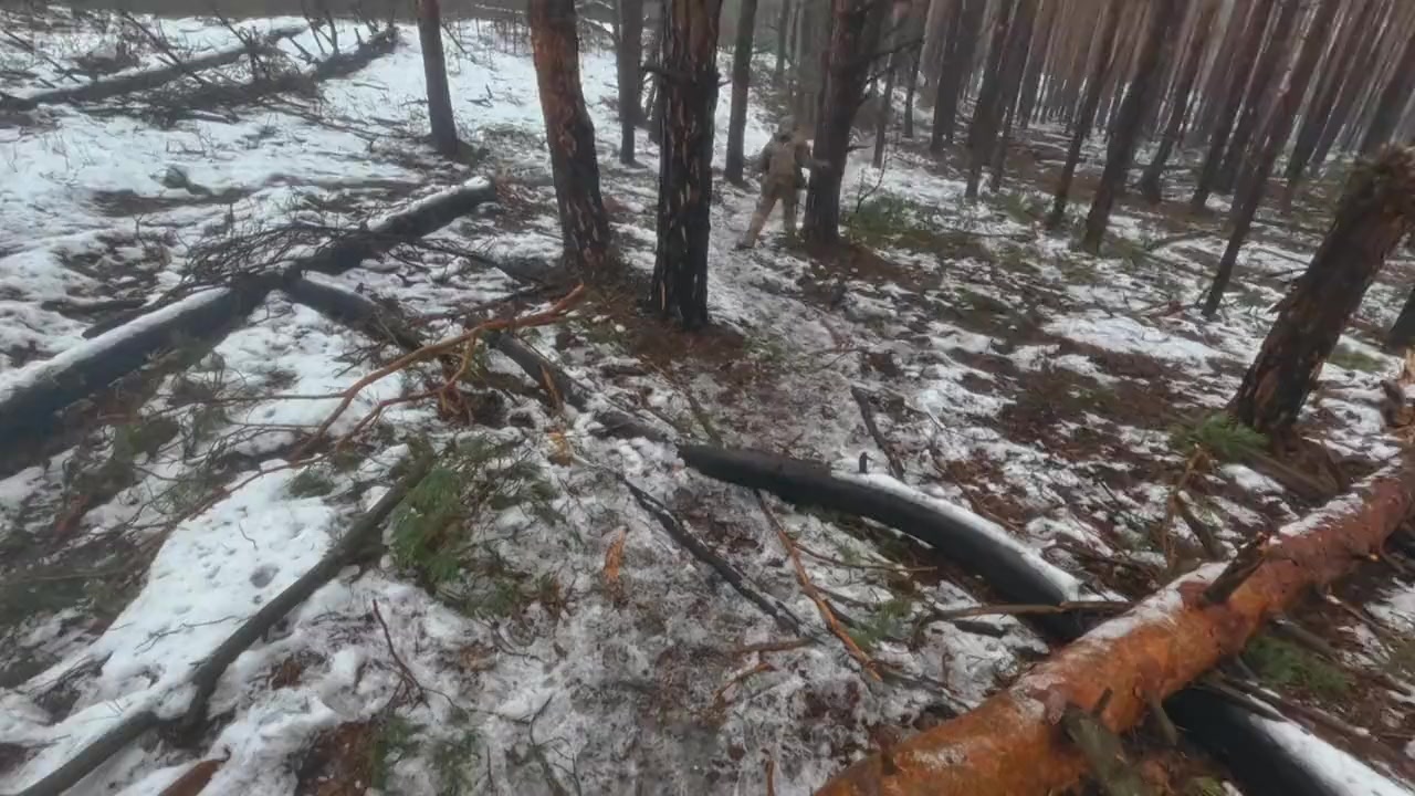 Ukraine: Enemy in the Woods screenshot 2