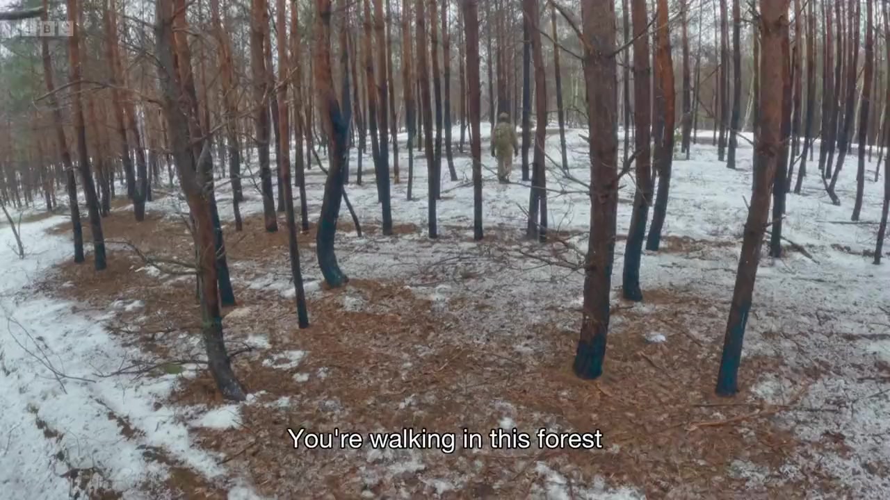 Ukraine: Enemy in the Woods screenshot 3