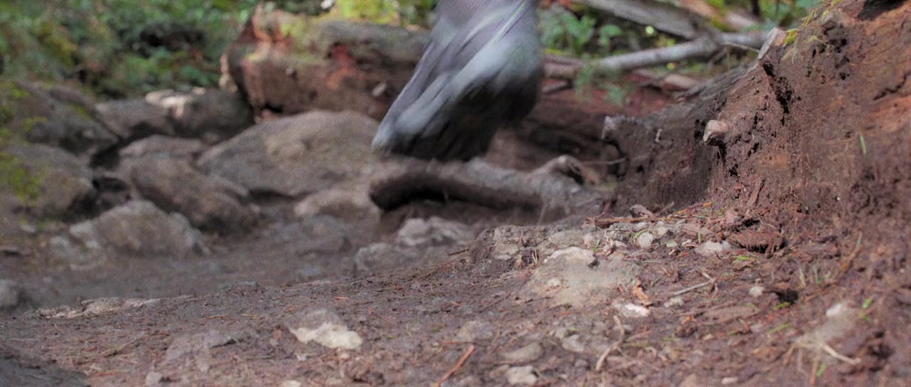 Ultra Low screenshot 3