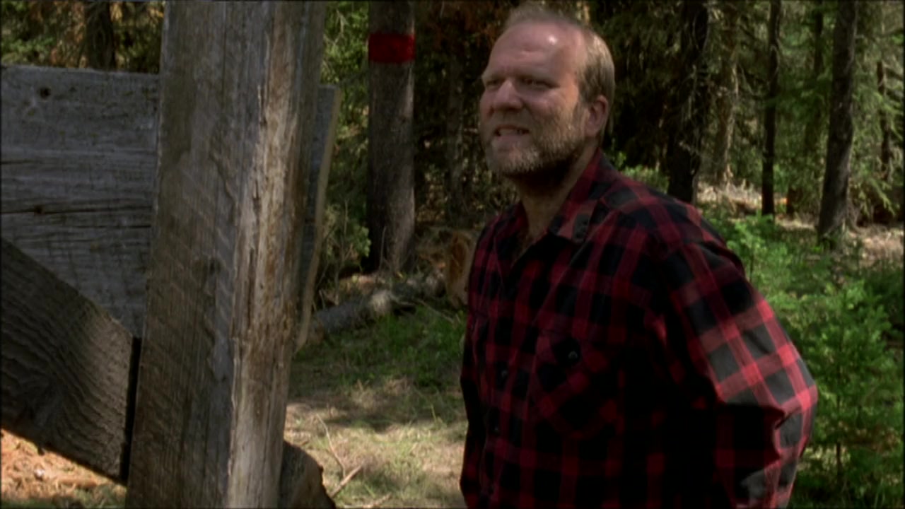 Ulvesommer screenshot 3