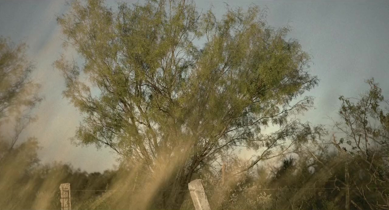 A cielo abierto screenshot 1