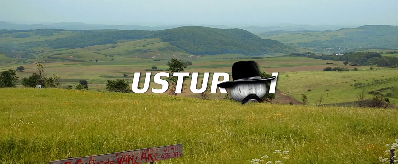 Usturoi screenshot 3