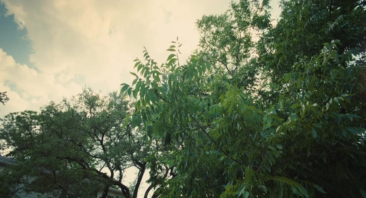 Voyage of Time: The IMAX Experience screenshot 1