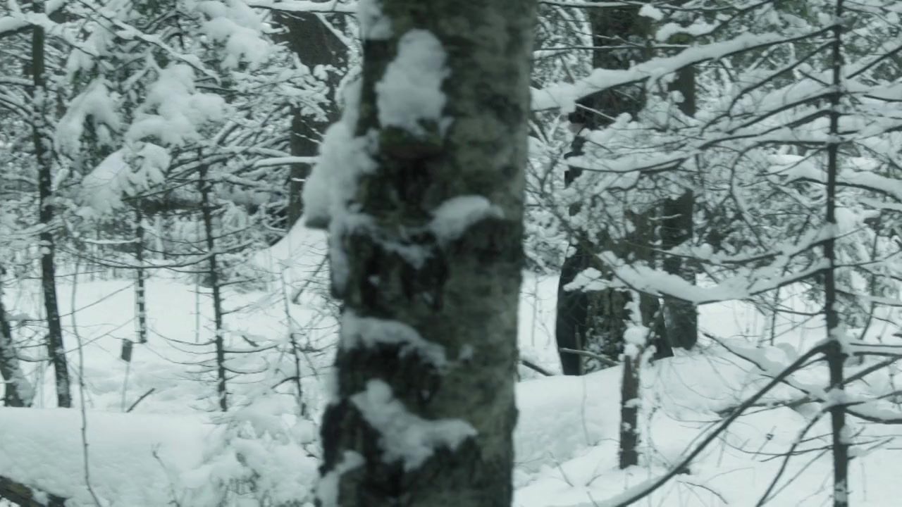 Vo veki vechnye screenshot 2