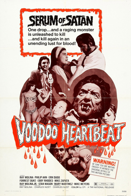 Voodoo Heartbeat (1973) poster