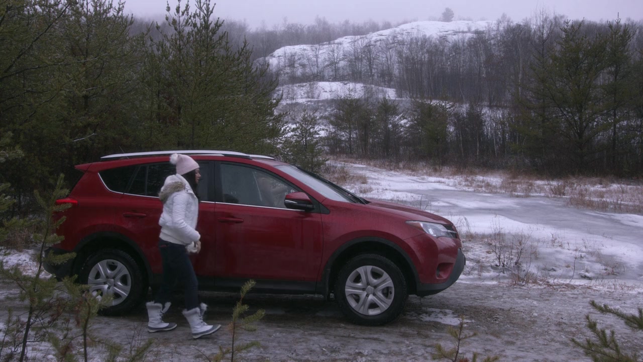 Valentine Ever After screenshot 2