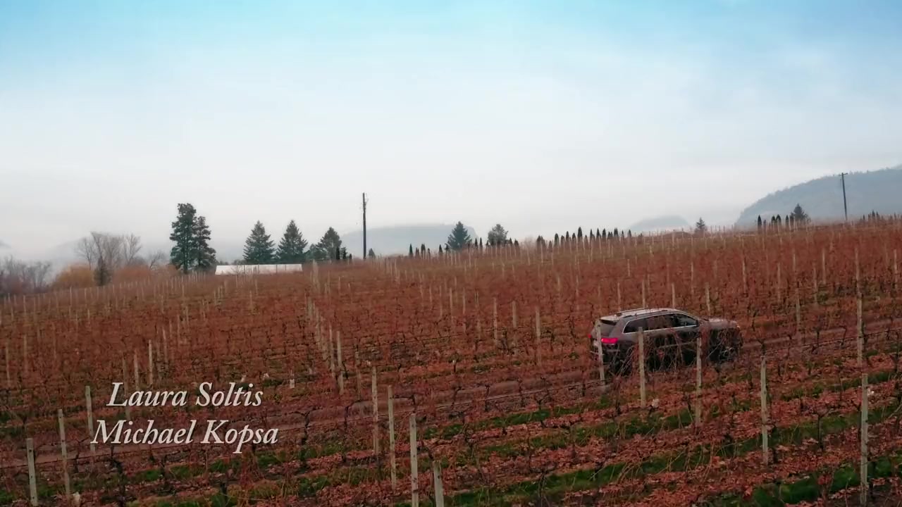 Valentine in the Vineyard screenshot 2