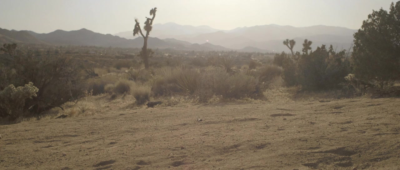 Valley of Ditches screenshot 1