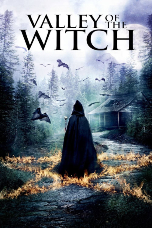 Valley of the Witch (2014) poster