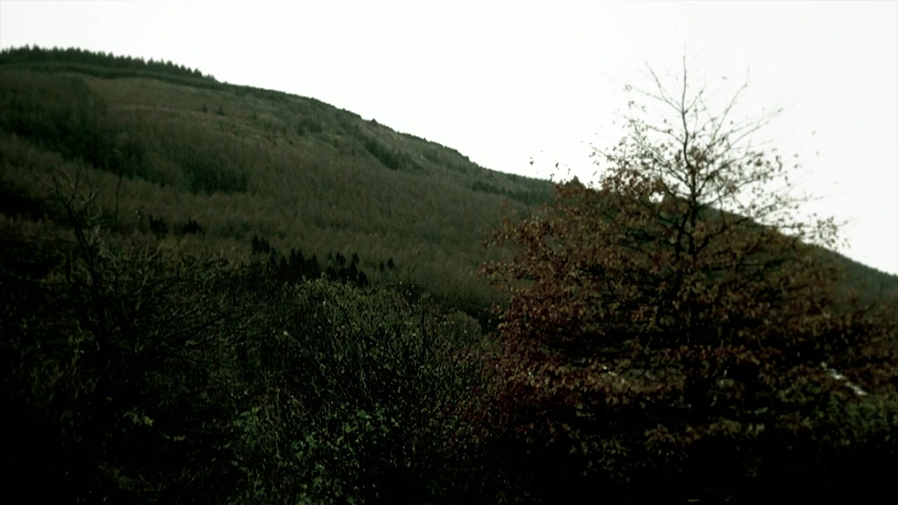 Valley of the Witch screenshot 1