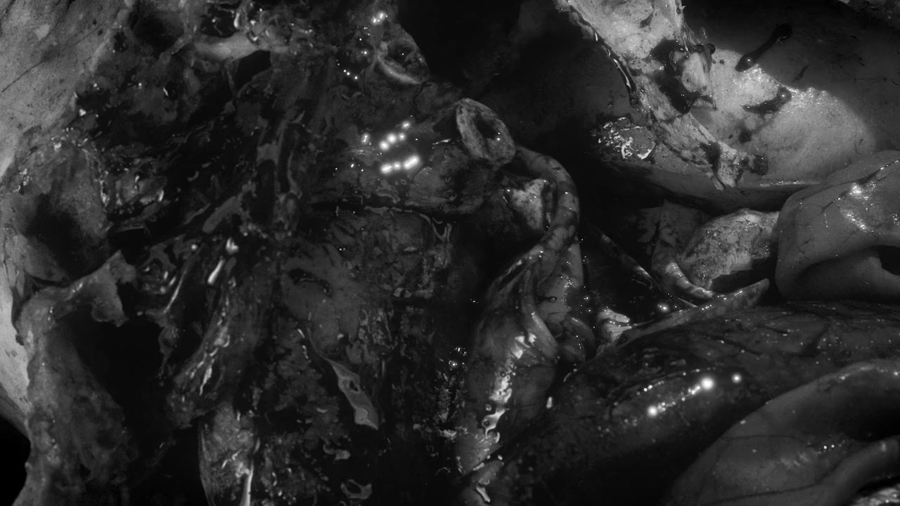 Vampire Zombies... From Space! screenshot 1