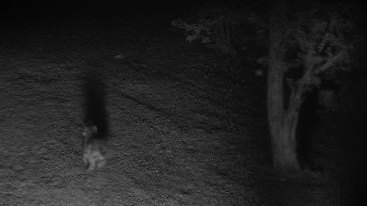 Vampire Zombies... From Space! screenshot 2