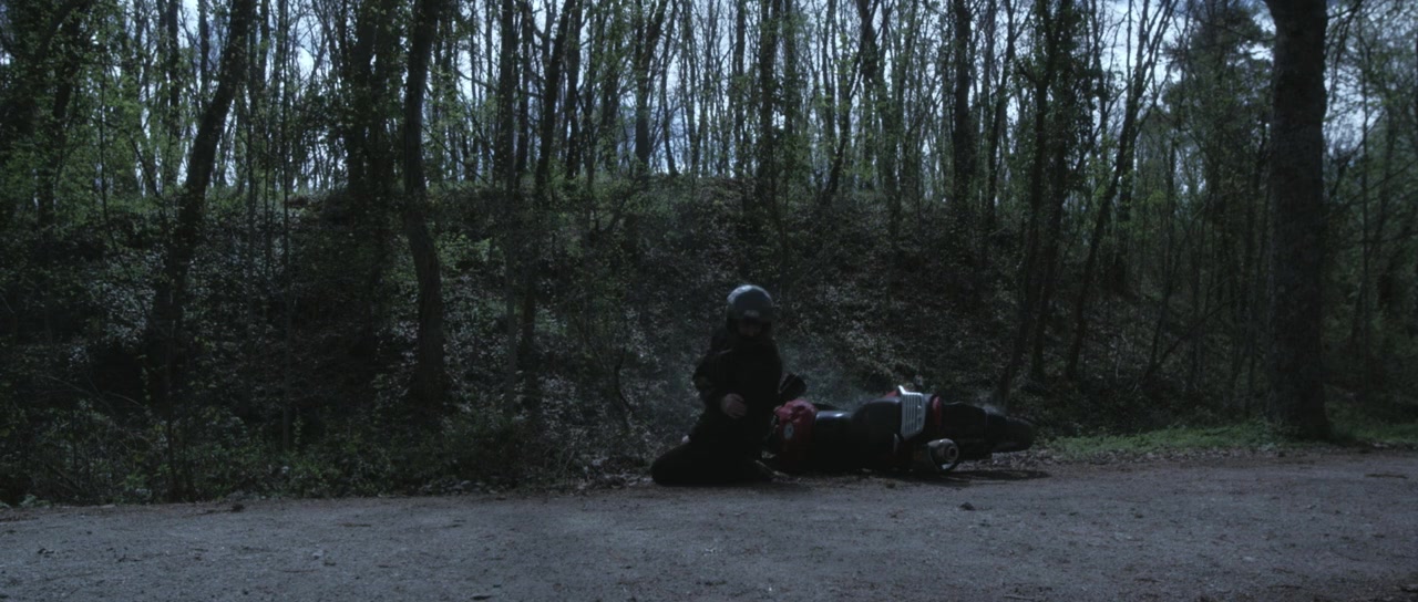 Vampyres screenshot 3