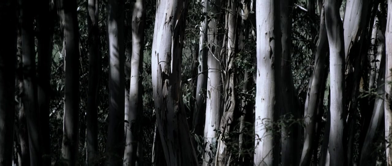 Van Diemen's Land screenshot 1