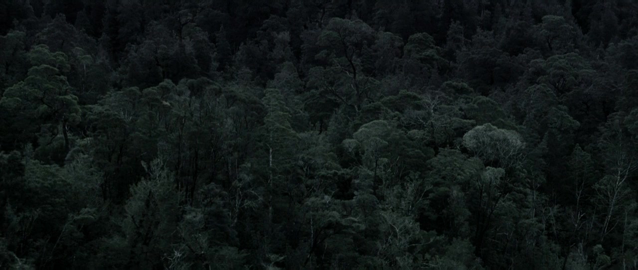 Van Diemen's Land screenshot 3