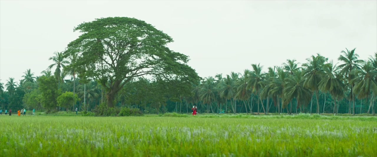 Vanaveera screenshot 1