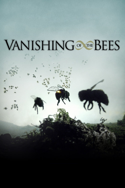 Vanishing of the Bees (2009) poster