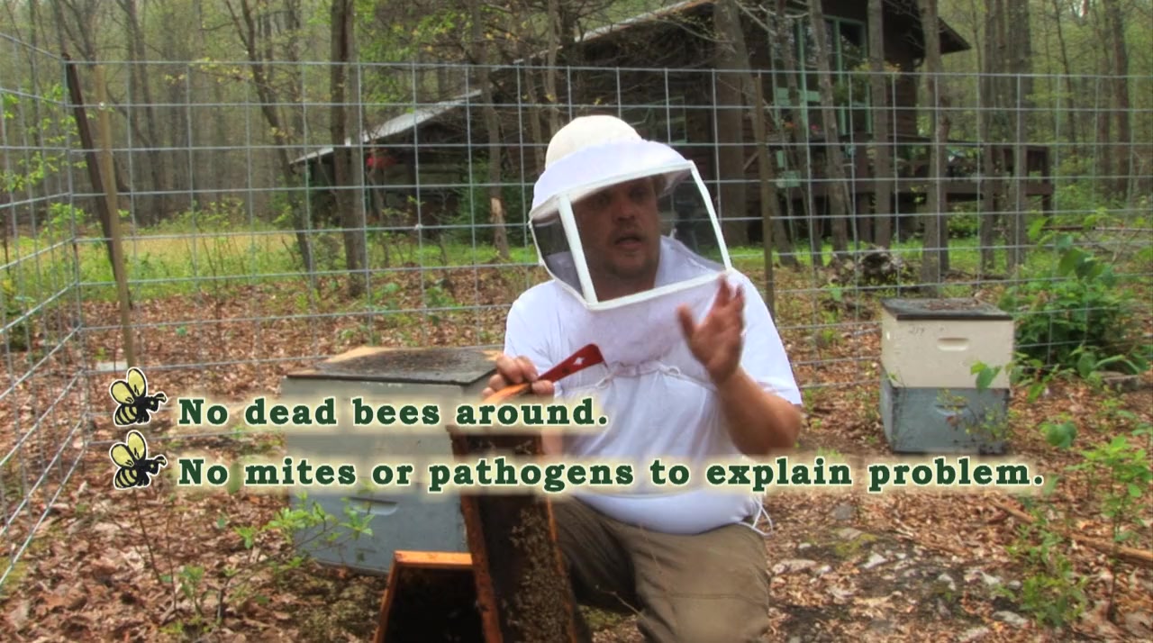 Vanishing of the Bees screenshot 1