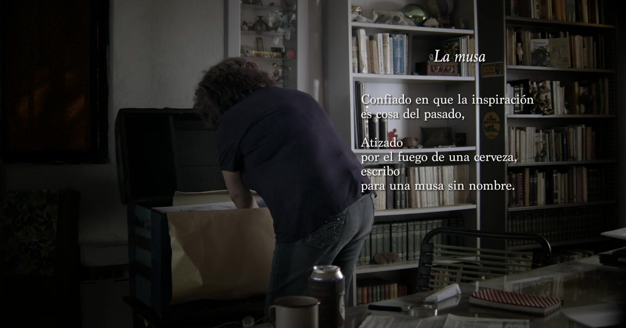 Vaquero del mediodía screenshot 2