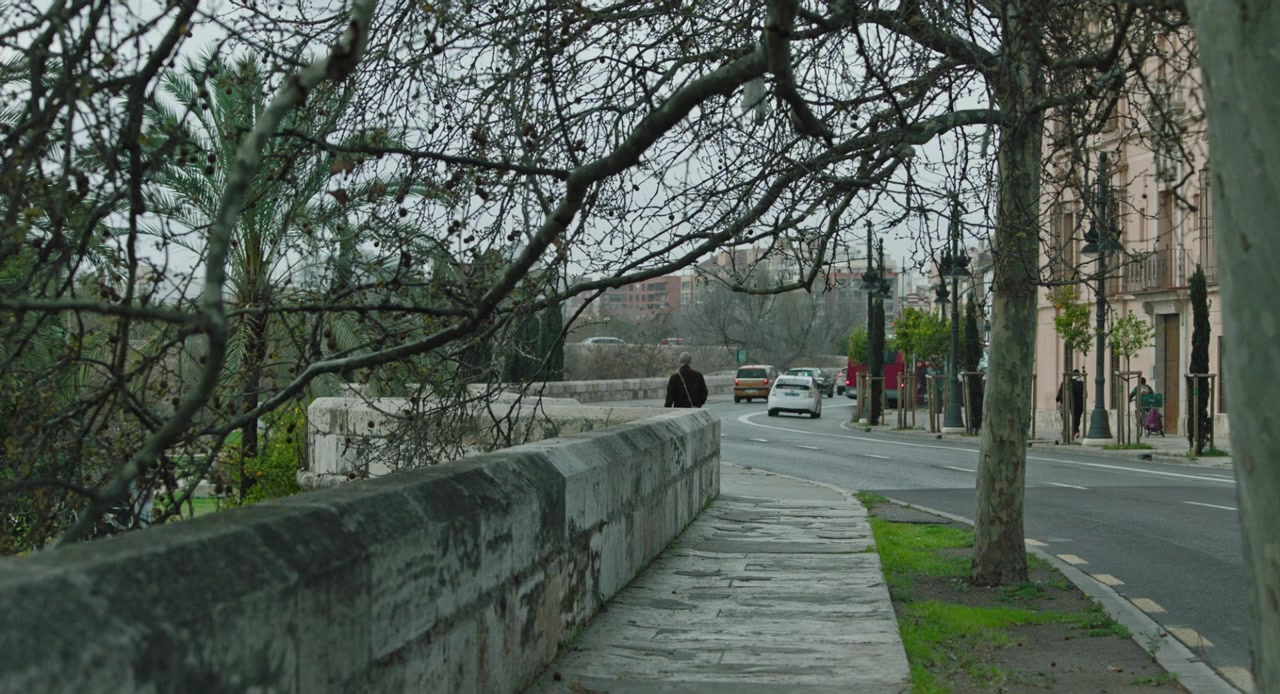 Vasil screenshot 1