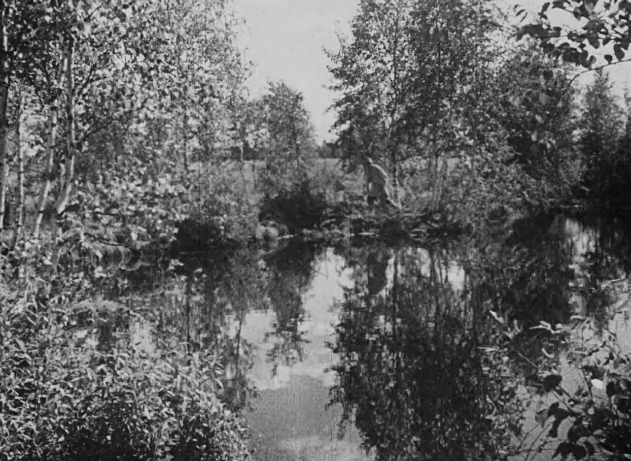 Vasilisa prekrasnaya screenshot 2